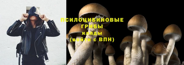 ECSTASY Богданович