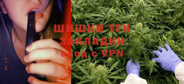 ECSTASY Богданович