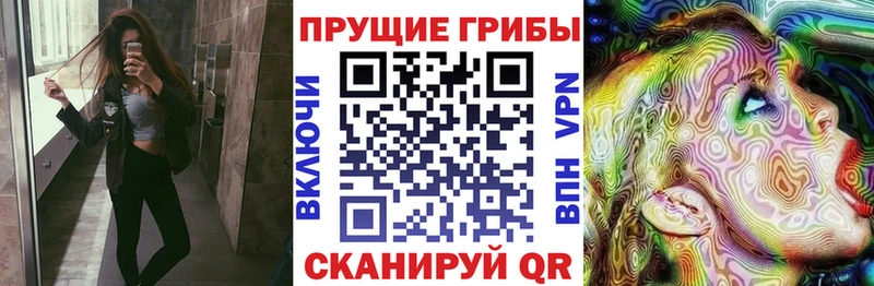 Галлюциногенные грибы GOLDEN TEACHER  сколько стоит  Бобров 